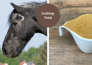 Cushing - PPID (Paard)