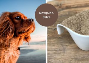 NewJoint-Extra zorgt voor een gezond kraakbeen