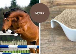 Spyrox zorgt voor soepele spieren en pezen