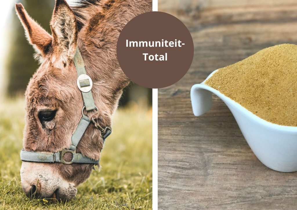 Immuniteit-Total is inzetbaar voor een goed immuunsysteem