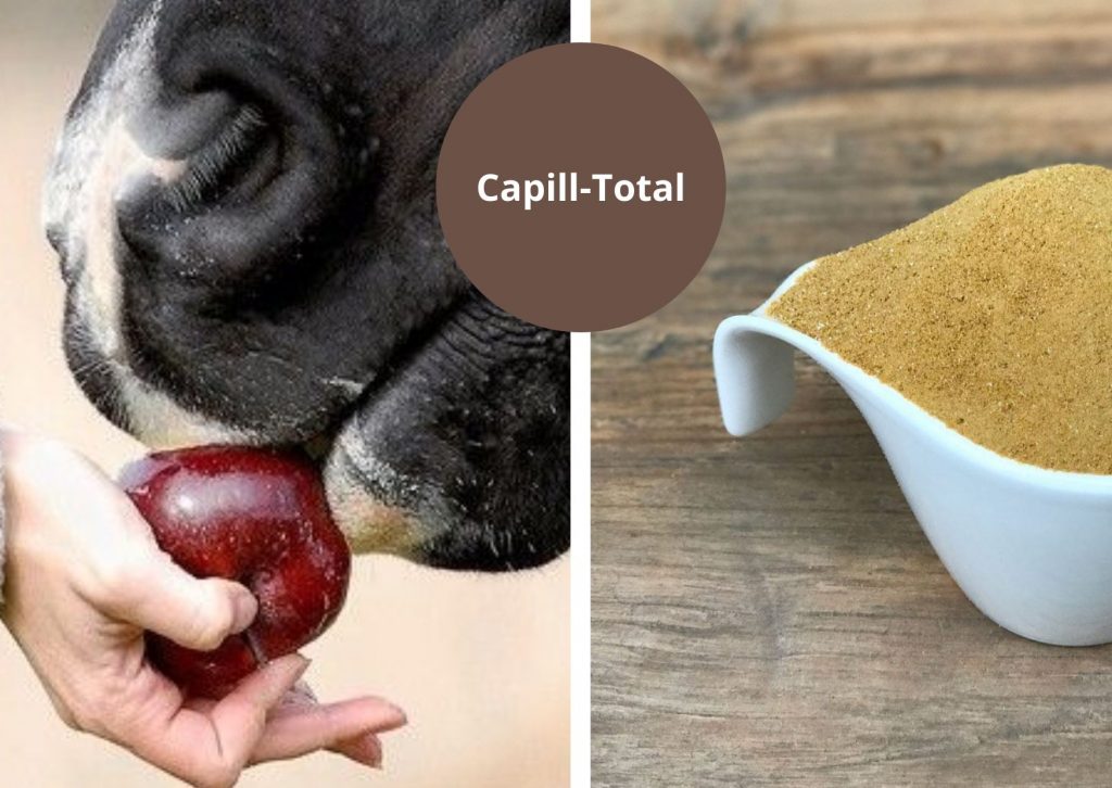 Capill-Total is inzetbaar bij leverproblemen