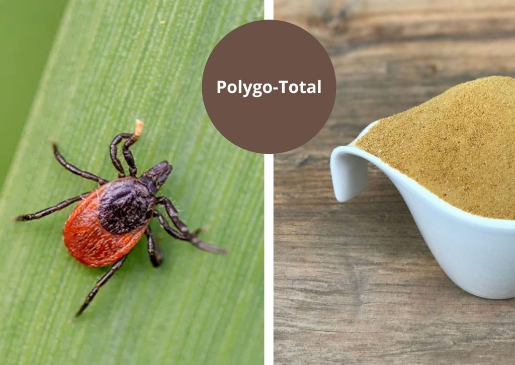 Polygo-Total is inzetbaar bij de ziekte van Lyme